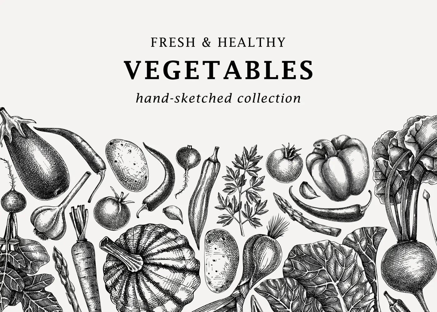 Hand-sketched vegetables design. Hand-drawn tomatoes, squashes, peppers, potatoes, asparagus and other vegetables. Healthy food banner for menu, restaurant, packaging, labels. Botanical illustration  Illustration